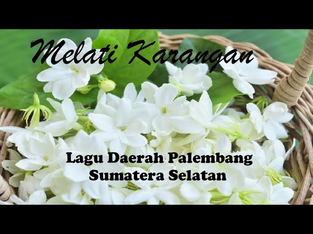 Melati Karangan - Lagu Daerah Palembang, Sumatera Selatan #lagumelayu#melayupalembang class=