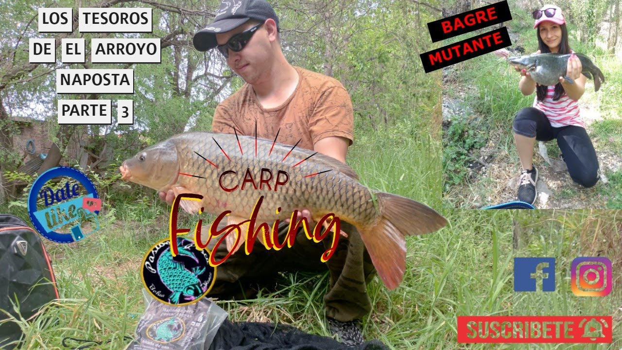 PESCA URBANA en el ARROYO NAPOSTA 😱😱🎣🎣👏👏👏