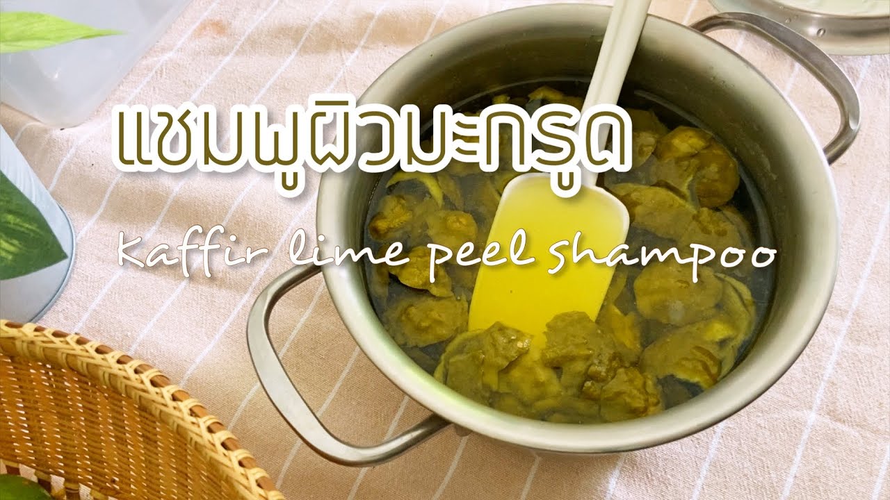 สอนทำแชมพูจากผิวมะกรูด (สูตรมีฟอง) สูตรผมสวยสุขภาพดี ทำแชมพูใช้เองได้ง่ายๆ  | @ผึ้งพา พอเพียง - My Gardening Diary