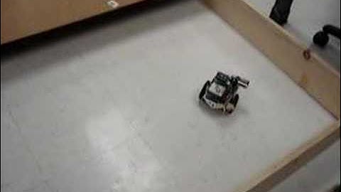 Robot Cockroach