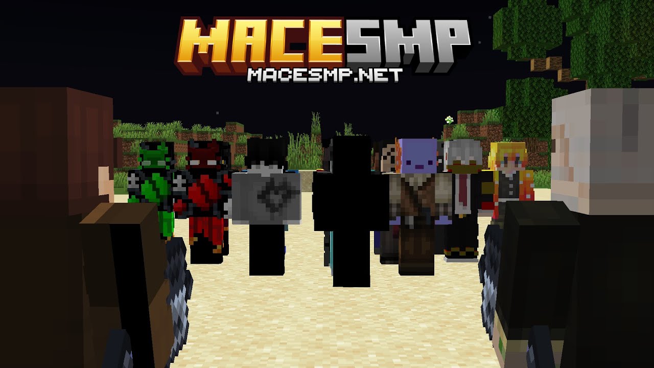 2 Youtubers vs a Minecraft server part 2 - YouTube