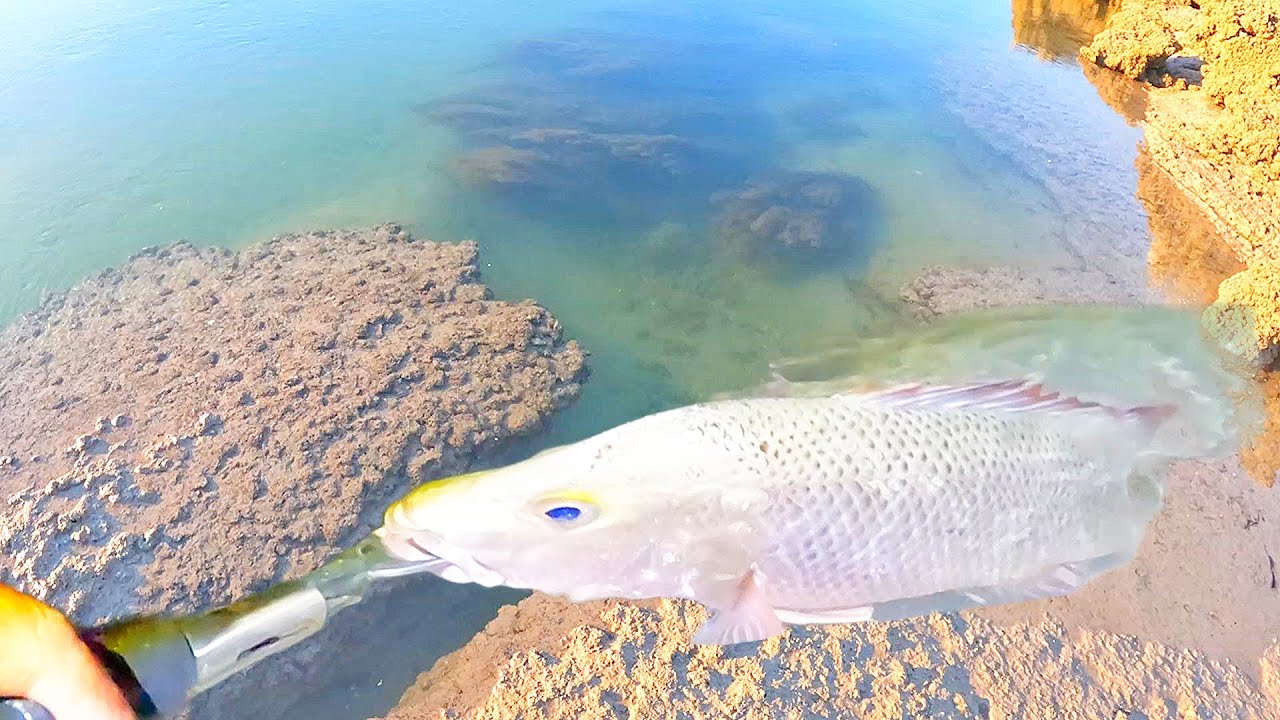 How you Wish Jack Fishing was everytime - Landbased Haunted Island.