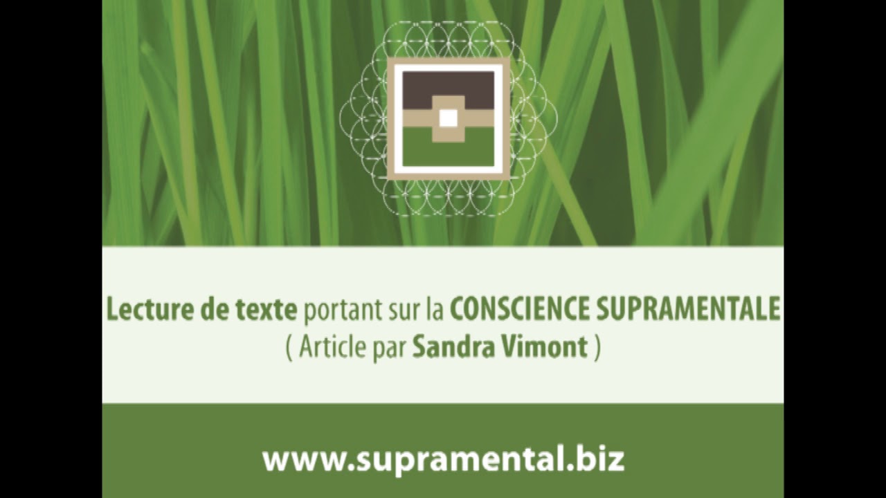 Article 96 - le désir de bien paraître - par Sandra Vimont