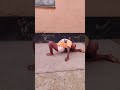 welcome back to our contortion and gymnastics team