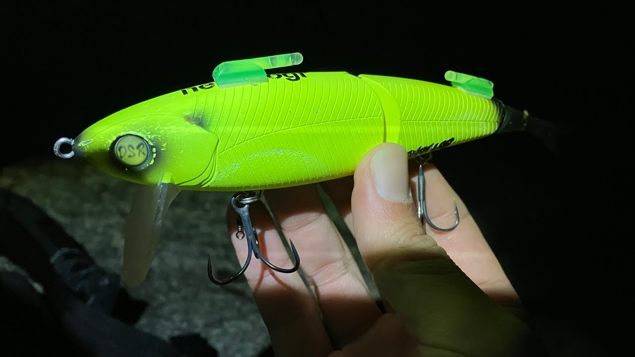 琵琶湖バス釣りライブ。ネコソギにケミホタルをつけたらアピール力高く