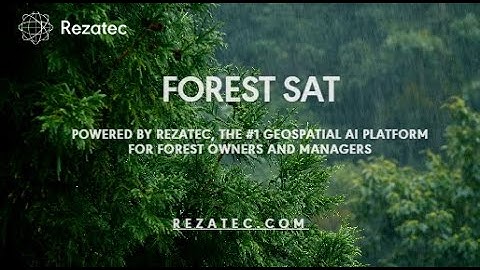 Rezatec Earth Observation Remote Sensing Satellite Data analytics
