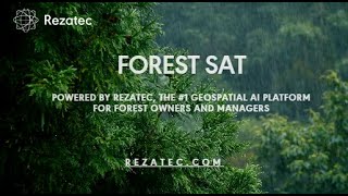 Rezatec Earth Observation Remote Sensing Satellite Data analytics