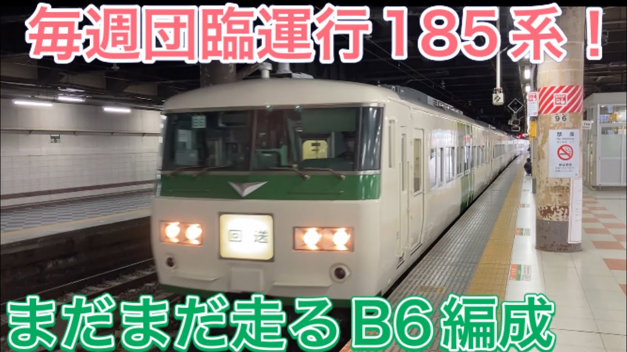185系は大忙し！毎週走る団体臨時列車B6編成 あしかがフラワーパーク団