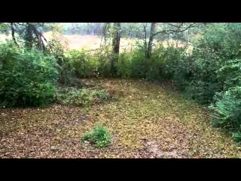 133 ALDER AVE, Birmingham, AL home video tour