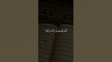 أكتب شئ تؤجر عليه ❤️ #القرآن_الكريم #تلاوة_خاشعة #سورة_الإخلاص #القرآن