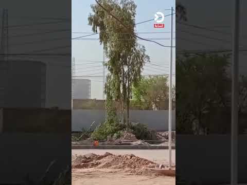 مواطن يستنكر قطع شجرة معم رة في النجف