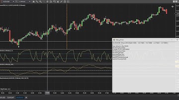 ninjatrader debugger created by Tazo Todua
