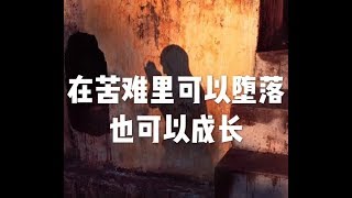 201712 在苦难里可以堕落　也可以成长22930