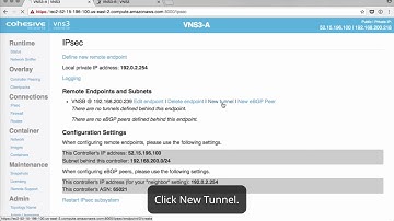 VNS3 Admin Guide: VNS3 IPsec side by side