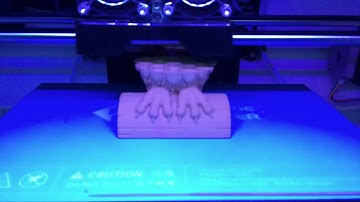 3D printed owl time lapse