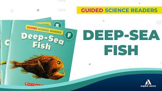 Bộ Truyện F Lesson 3 - Deep-Sea Fish