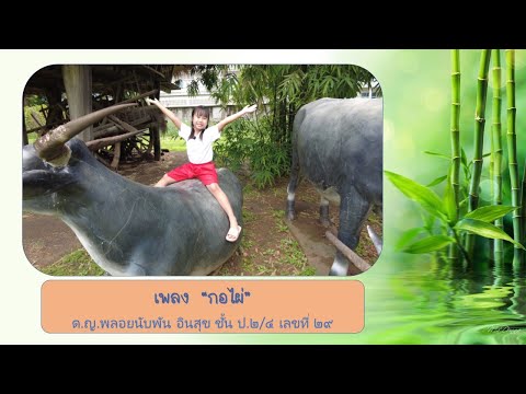เพลงกอไผ่ V 1