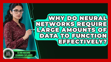 Why Do Neural Networks Require Large Amounts of Data to Function Effectively?