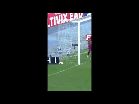 GOLS BOTAFOGO 2 x 0 SAMPAIO CORREA RODADA 26 SERIE B BRASILEIRAO - RAFAEL NAVARRO E OYAMA #shorts