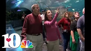 WBIR Vault - Monday's Child - Whitney (2006)