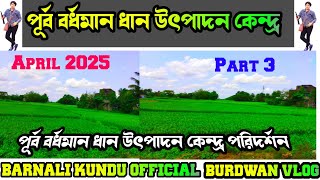 𝐕𝐋𝐎𝐆 𝐁𝐔𝐑𝐃𝐖𝐀𝐍