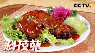 《科技苑》 20180528 好味道 有门道(二) | CCTV农业