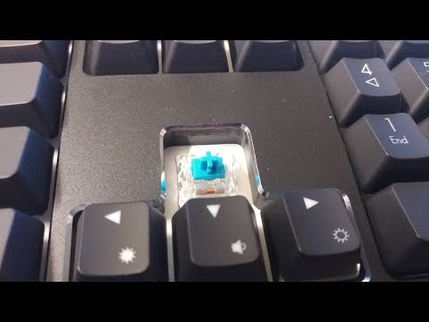 Acer Predator Aethon 500 Typing Sound (Kailh Blue Switch)