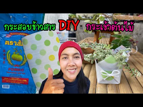 DIY กระสอบข้าวสาร เป็นกระเช้าต้นไม้ มอบเป็นของขวัญปีใหม่ สวยแบบประหยัด