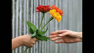 Flowers of Love screenshot 4