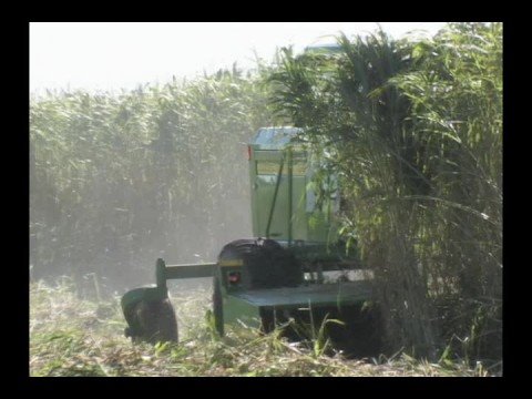 Standridge Equipment John Deere