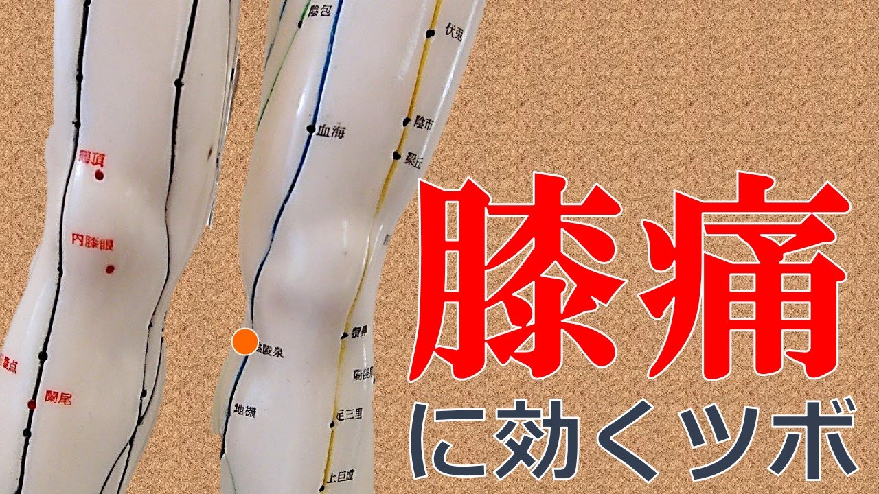 8つのツボ 膝の痛みを和らげるおすすめツボマッサージ方法 Sposhiru Com