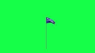 Flag waver / Wavish, Wavia whatever, greenscreen