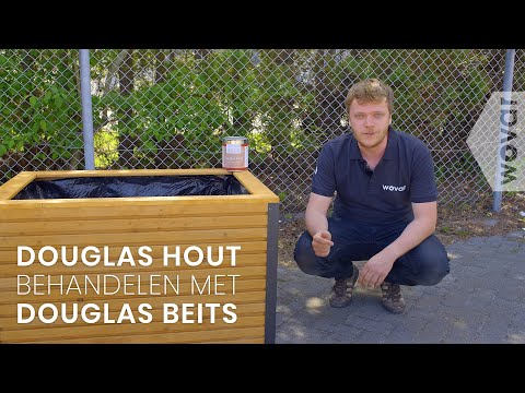 Video: Hoe ziet een Douglas-spar eruit?