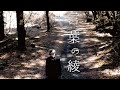 【MV】言葉の綾 / 松本明人(真空ホロウ)