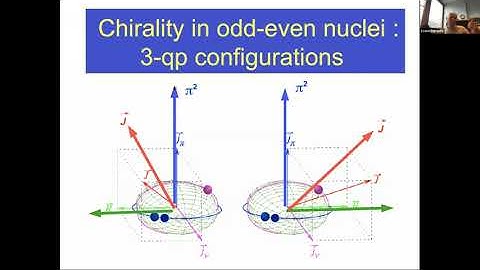 Costel Petrache on Chirality and wobbling in nuclei: new achievements and perspectives