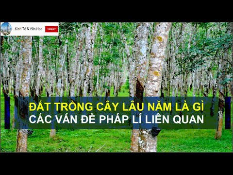 Video: Cây Lâu Năm: đánh Dấu để Lưu Trữ Mùa đông