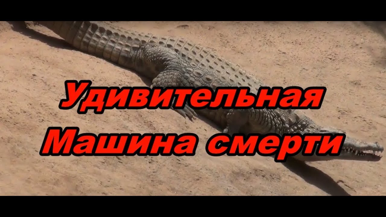 Какую машину называют крокодилом