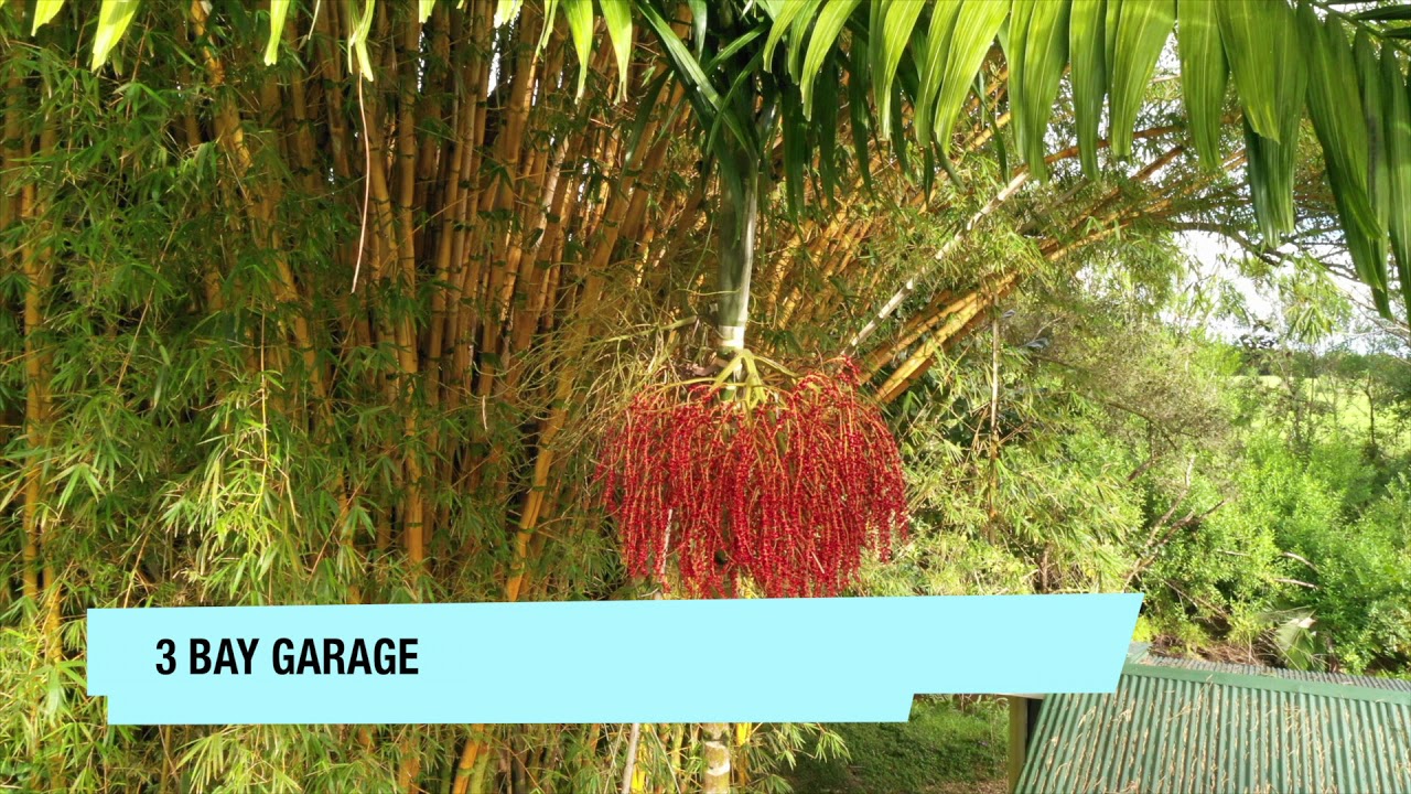 Property for sale (Pepeekeo) YouTube