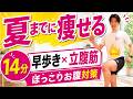 【14分】夏までに痩せる!早歩き×立腹筋でぽっこりお腹対策#261