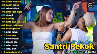 VITA ALVIA FT. ARIF CITENX - KAWIN KONTRAK, SANTRI PEKOK - FULL ALBUM DANGDUT KOPLO VIRAL TERBARU