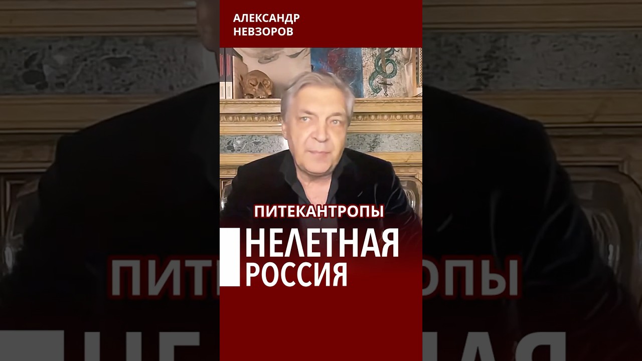 Зеленский отменяет российское авиасообщение #невзоров episode artwork