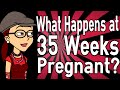 What Happens at 35 Weeks Pregnant?