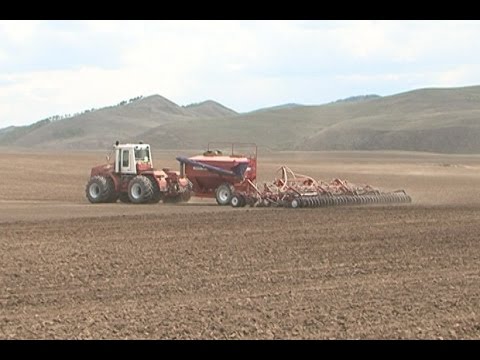 Программа поддержки