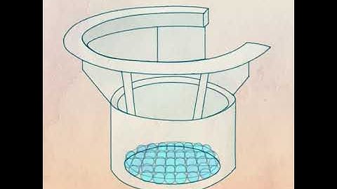 How Lung Organoids Could Help Us Understand COVID-19
