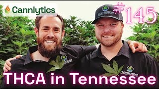 THCA in Tennessee | Cannabis Data Science #145