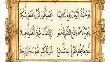 سورة الرحمن 69 (متن الشاطبية) مشاري العفاسي