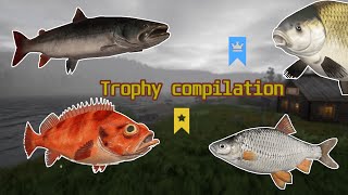 Trophy Compilation #2 - Russian Fishing 4