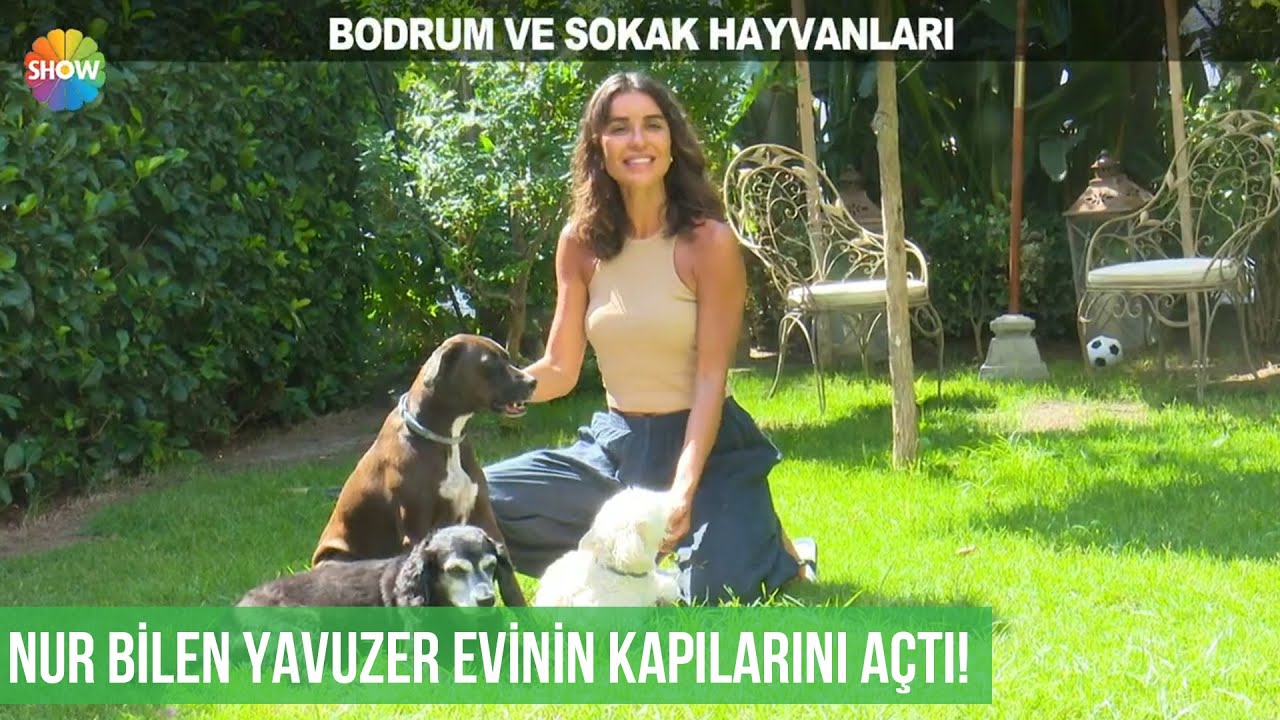 Nur Bilen Yavuzer, onlarca sokak köpeğine ev sahipliği yaptığı evini Pazar Sürprizi'ne açtı!