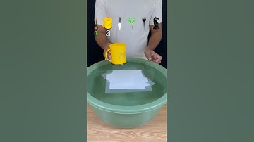 TRY TO GUESS HOW MANY TISSUE PAPER WILL FLOAT  #satisfying #experiment #asmr
