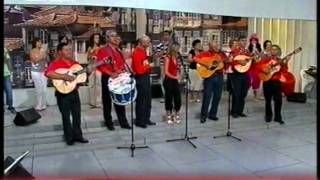 Video thumbnail of "CONJUNTO TÍPICO DO VAL TROFA PORTUGAL"